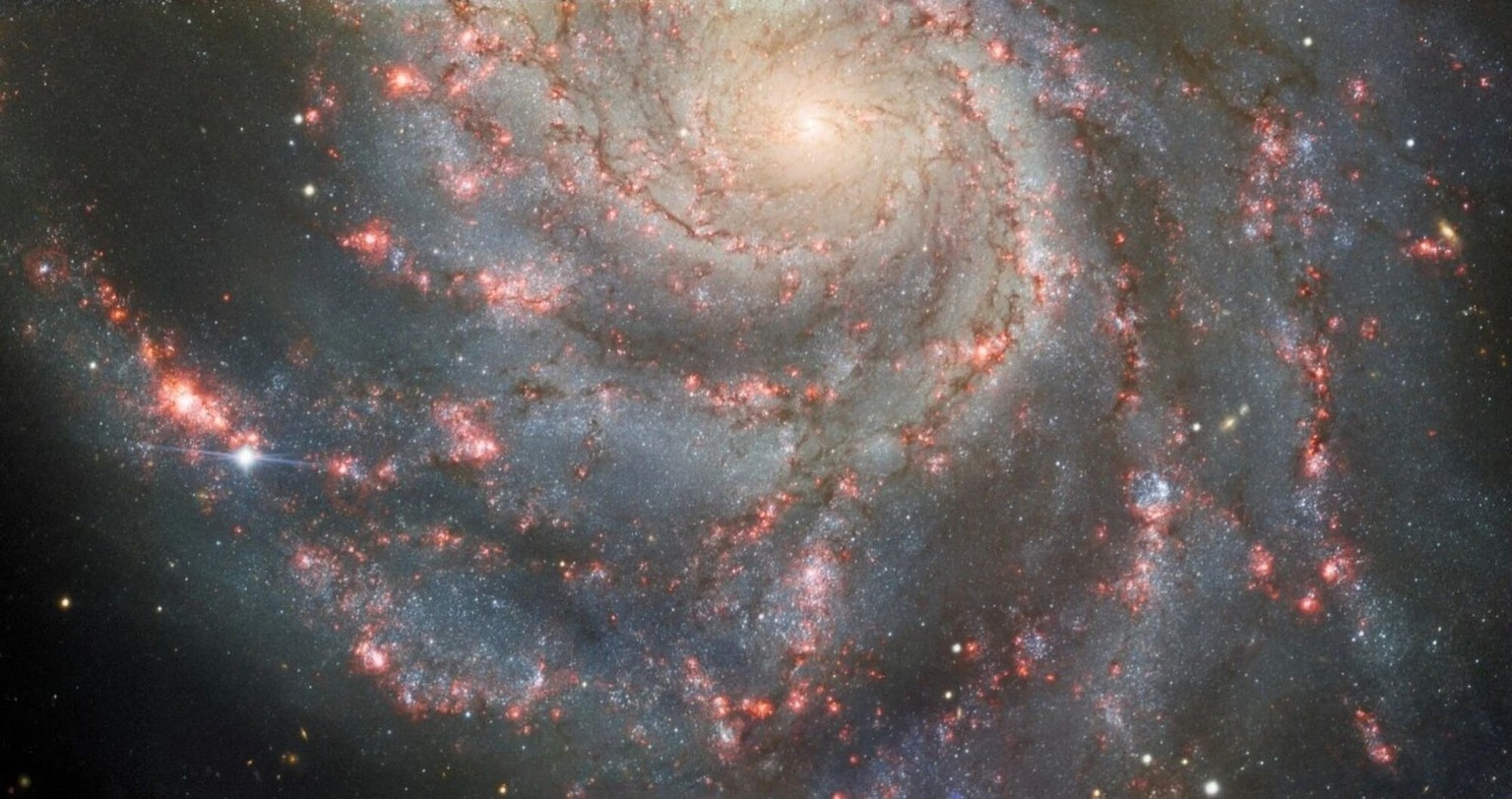 A supernova explosion observed in the Pinwheel Galaxy.