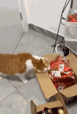 Animiertes GIF