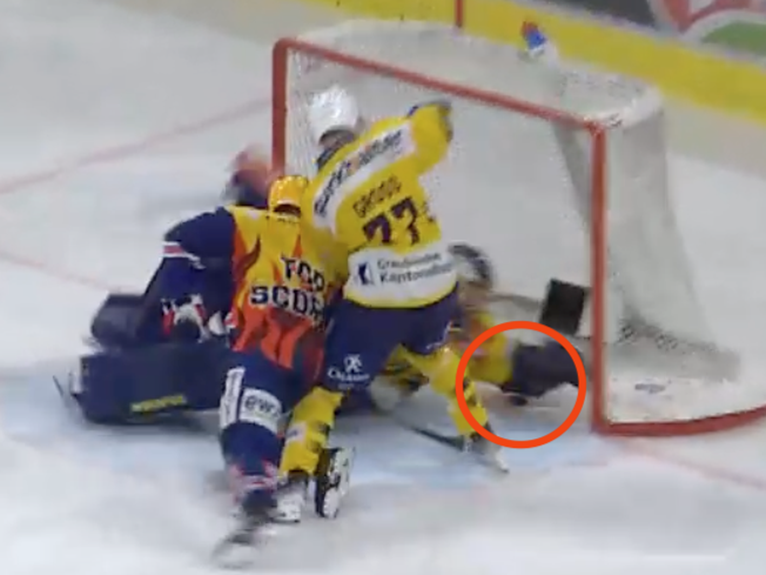 ZSC Lions vs. HC Davos: Tor oder nicht von Derek Grant? Teil 1.