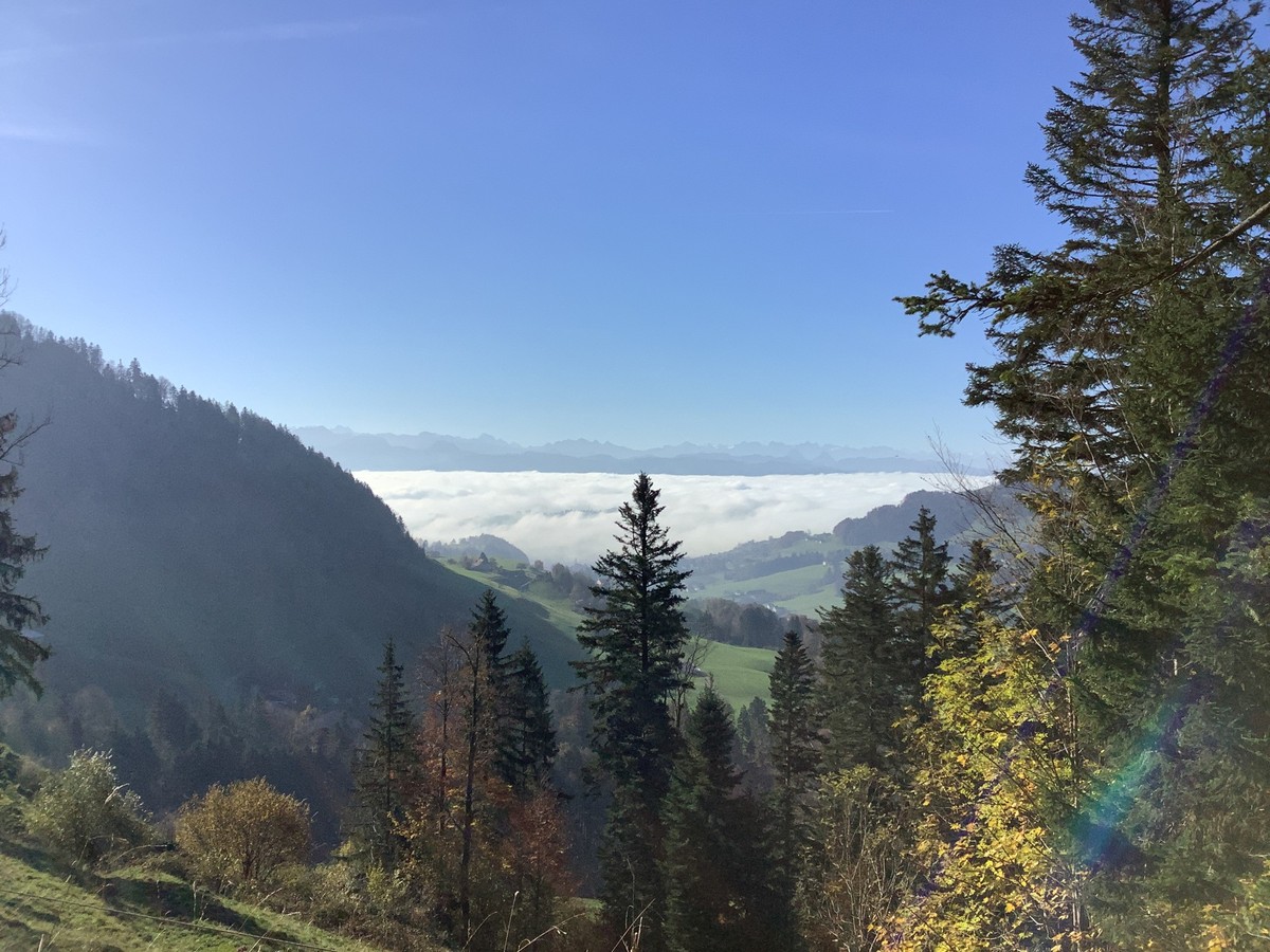 MAZ-Medienwoche Nebelwanderungen Scheidegg