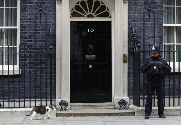 Larry, the 10 Downing Street cat, heads to the door during a cabinet meeting at Downing Street in London, Tuesday, Jan. 15, 2019. Britain&#039;s Prime Minister Theresa May is struggling to win support ...