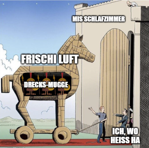 Lustige Memes zu Mücken
