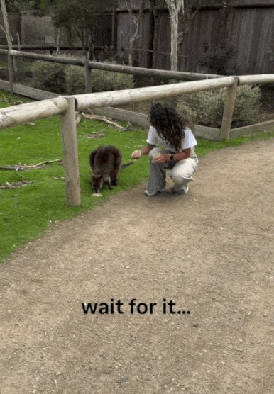 Animiertes GIF