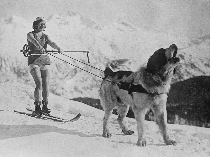 Switzerland A helping hand at St Moritz . A winter sports enthusiast at St Moritz uses her St Bernard dog to draw her through the snow while out on a ski run . . 11 February 1932 PUBLICATIONxINxGERxSU ...