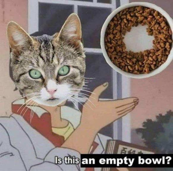 Los! Surfe mit Phteven durch den PICDUMP!*
Katzen...immer