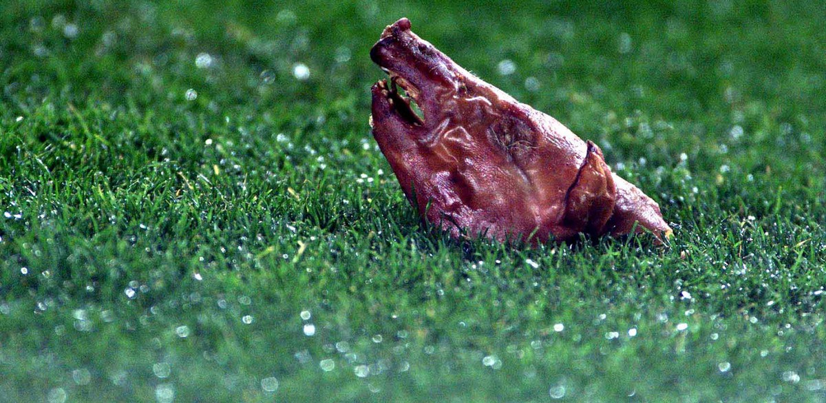 Luis Figo wurde vom Schweinekopf knapp nicht getroffen.