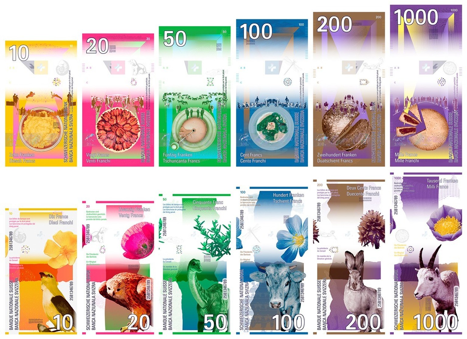 Die Schweizer Nationalbank hat im Oktober 2024 angekündigt, dass sie an einer neuen Banknotenserie für die Schweiz arbeitet. Das sind die Konzepte.