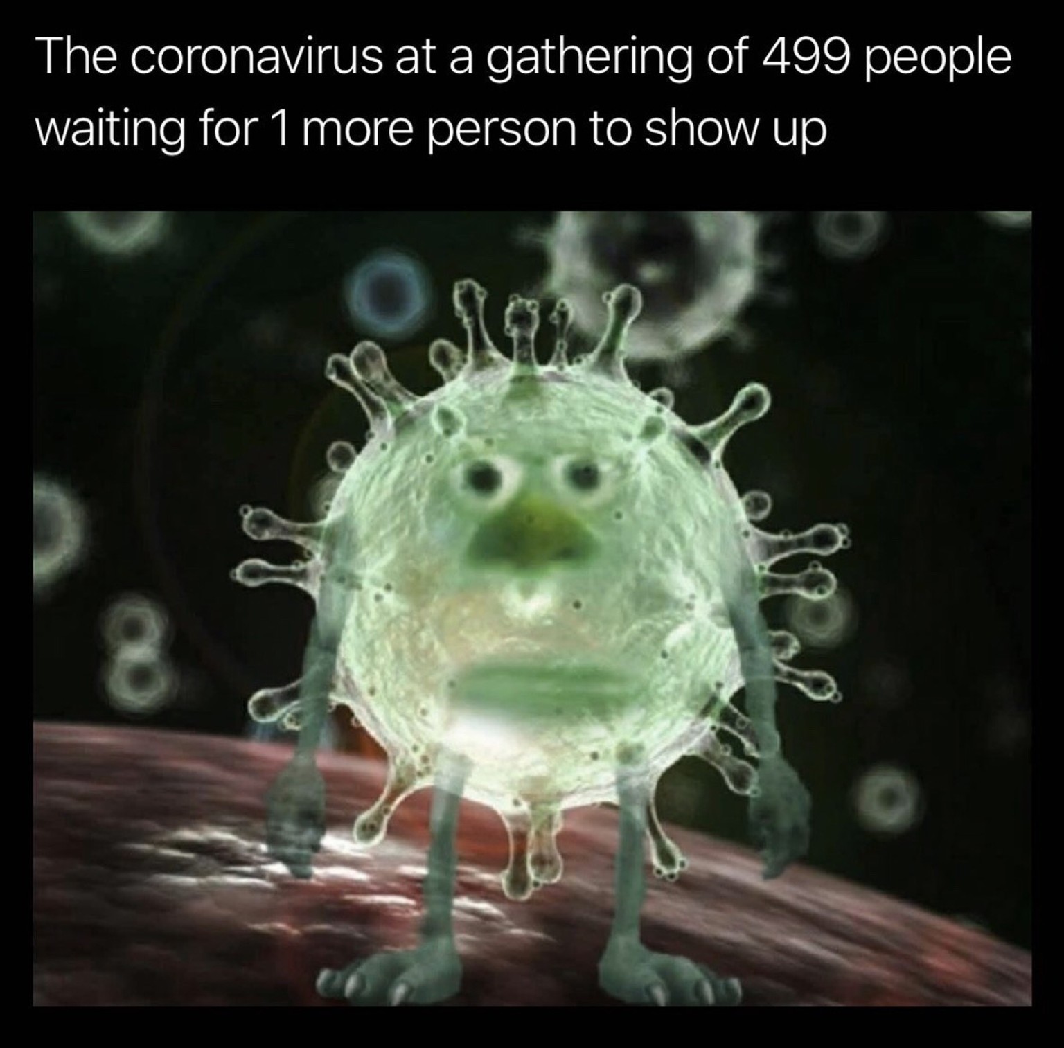 Lustige Coronavirus Witze 19 Geniale Bilder Die Uns Durchhalten Lassen Watson