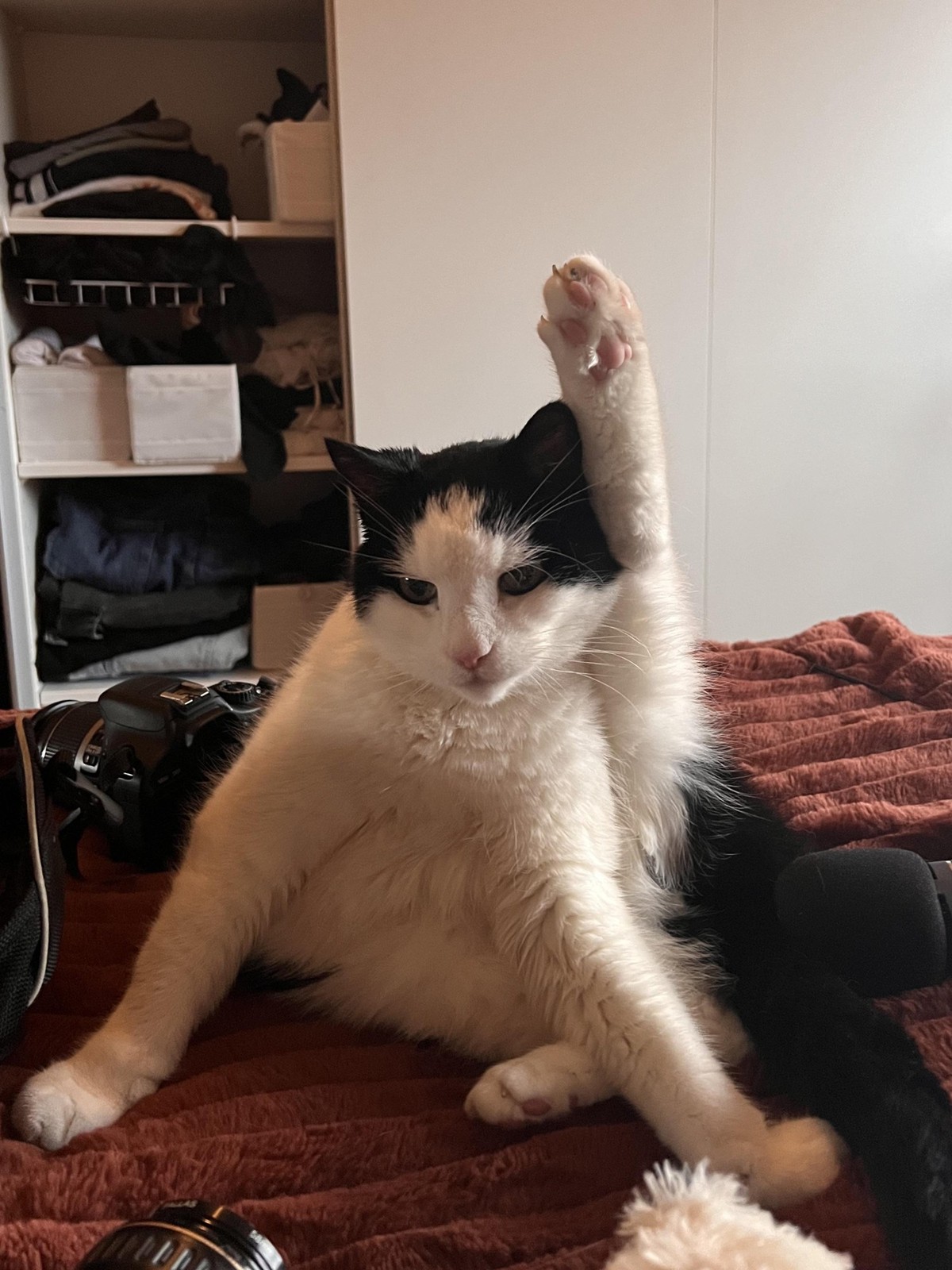 cute news tier katze

https://www.reddit.com/r/kittyhasaquestion/comments/1pfrpkm/this_one_felt_urgent/