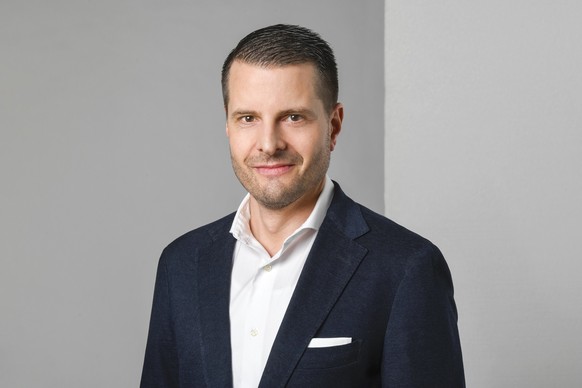Jonas Gassmann, Vischer