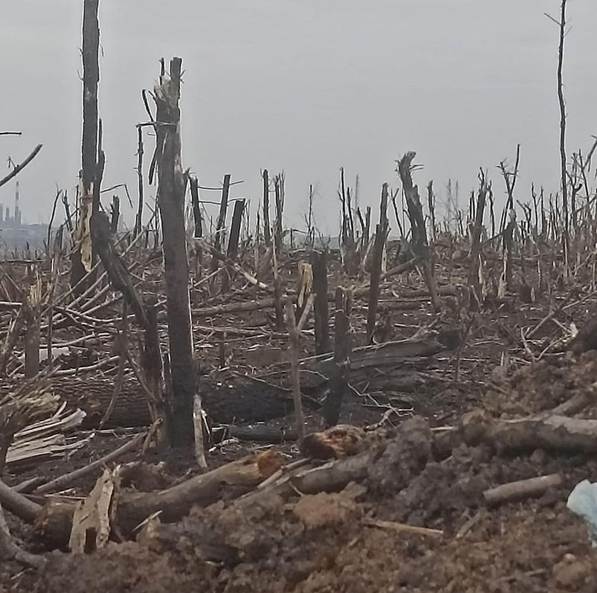 Le no man's land dans les environs de Bakhmout, le 26 novembre 2022.