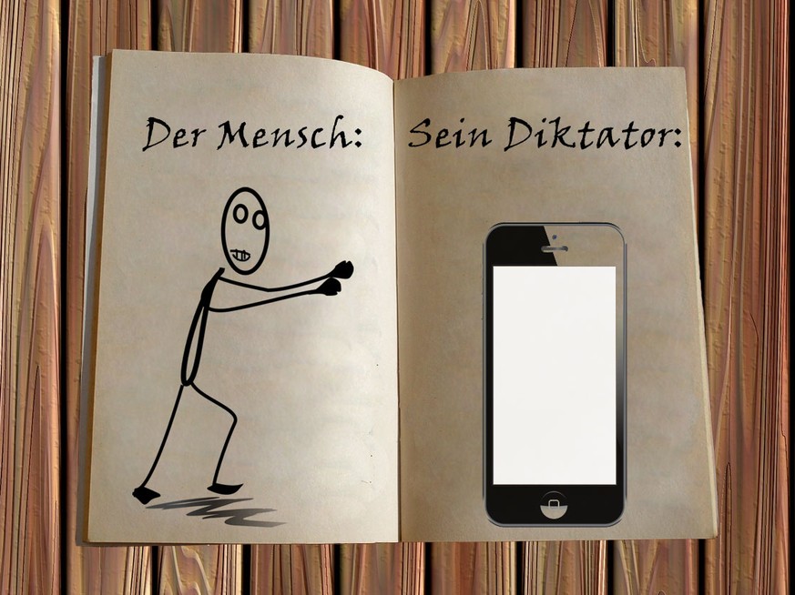 Aus dem Leben einer Katze: «Liebes Tagebuch, wir leben in einer Diktatur!»