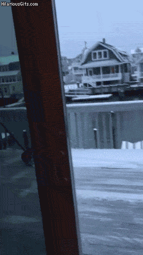 Animiertes GIF