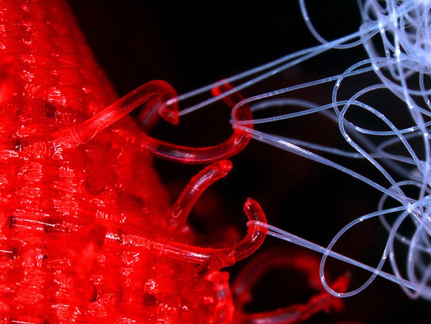 Science Porn! 21 Bilder, die beweisen, dass Wissenschaft auch ein bisschen geil macht
