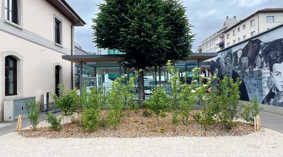 Die Effekte der Begrünung in Delémont werden nun analysiert und je nach dem auch an anderen Bahnhöfen lanciert.