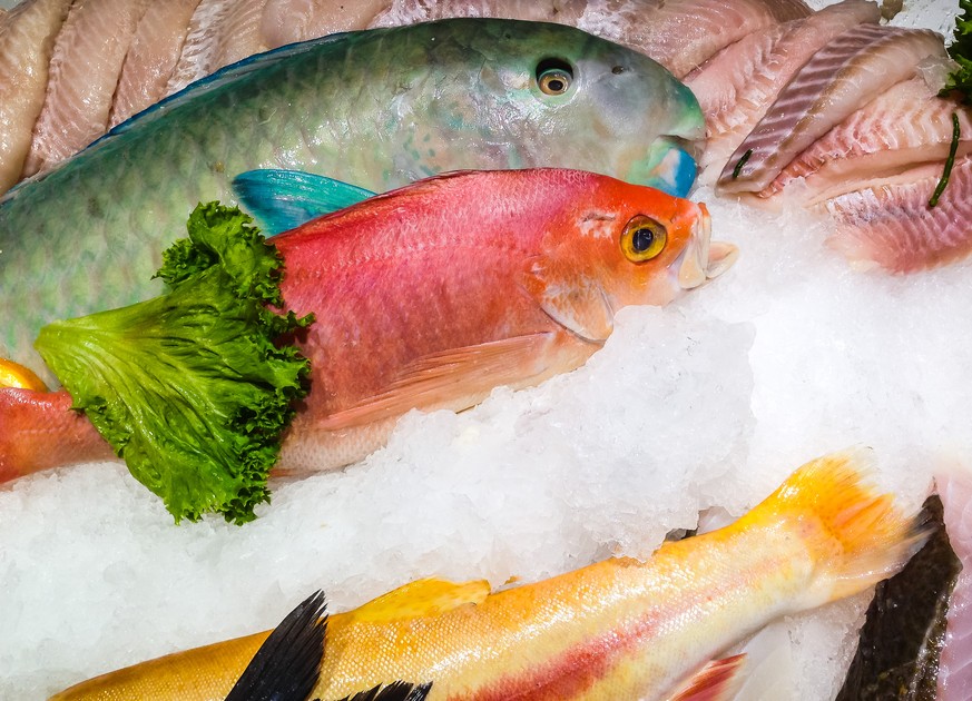 Diese Fische haben einen Grossteil ihres Lebens im Wasser verbracht. Und stinken trotzdem. Was uns das wohl sagen will?&nbsp;