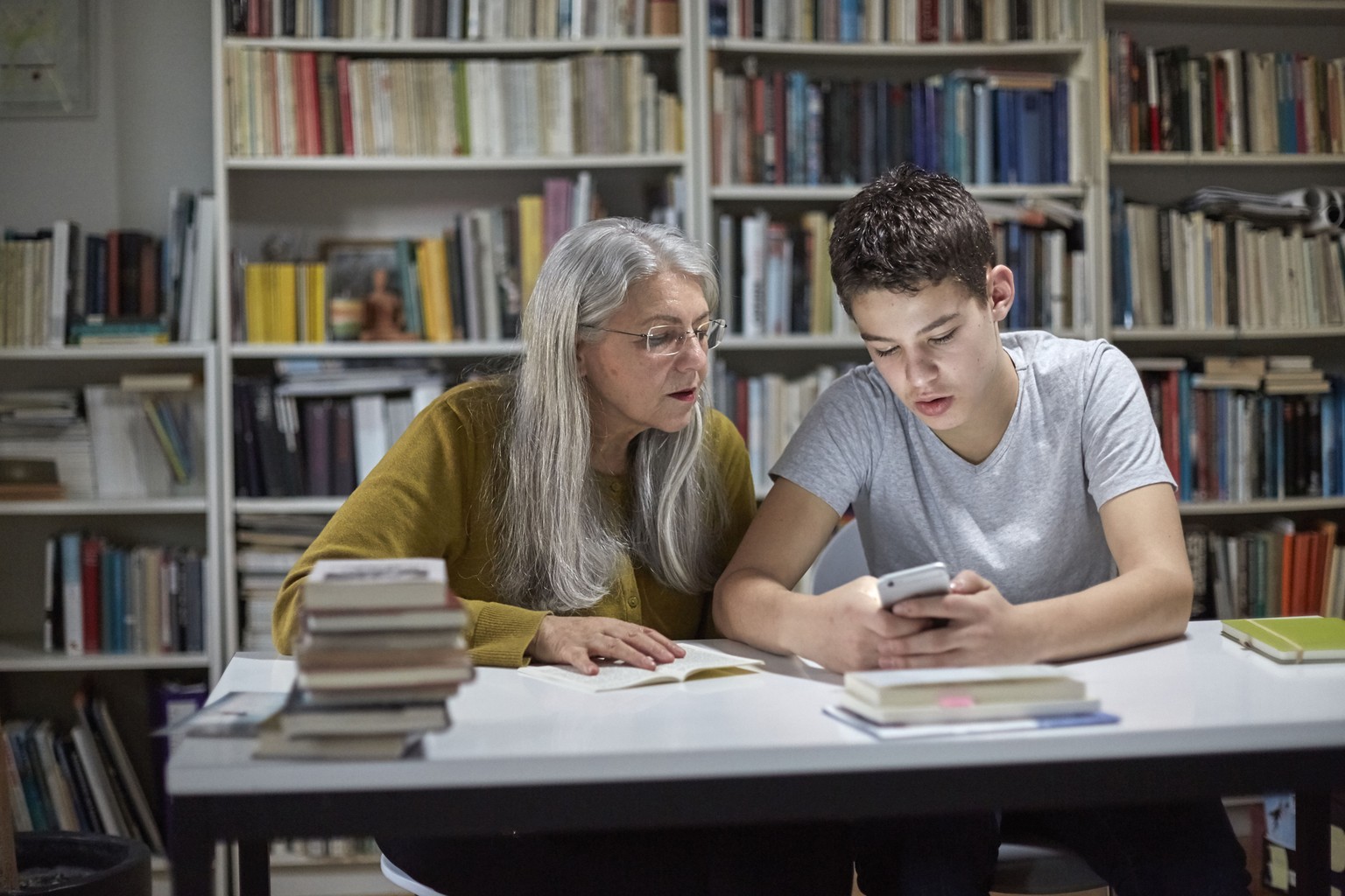 free computers curriculum and cultural change an introduction for teachers