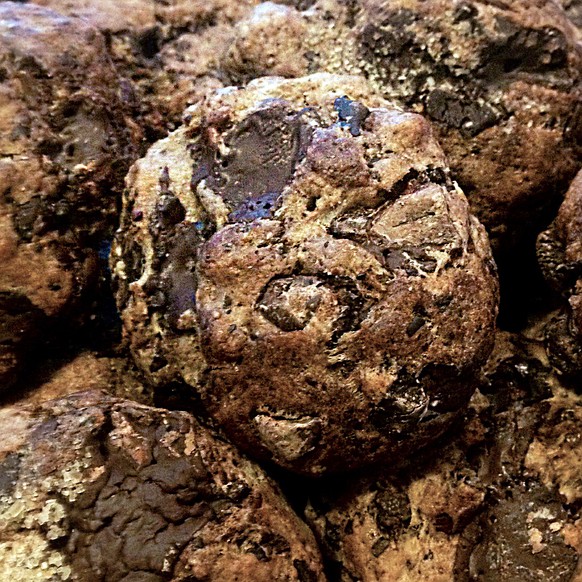 Nichtsdestotrotz waren die Cookies ausgesprochen wohlschmeckend! 