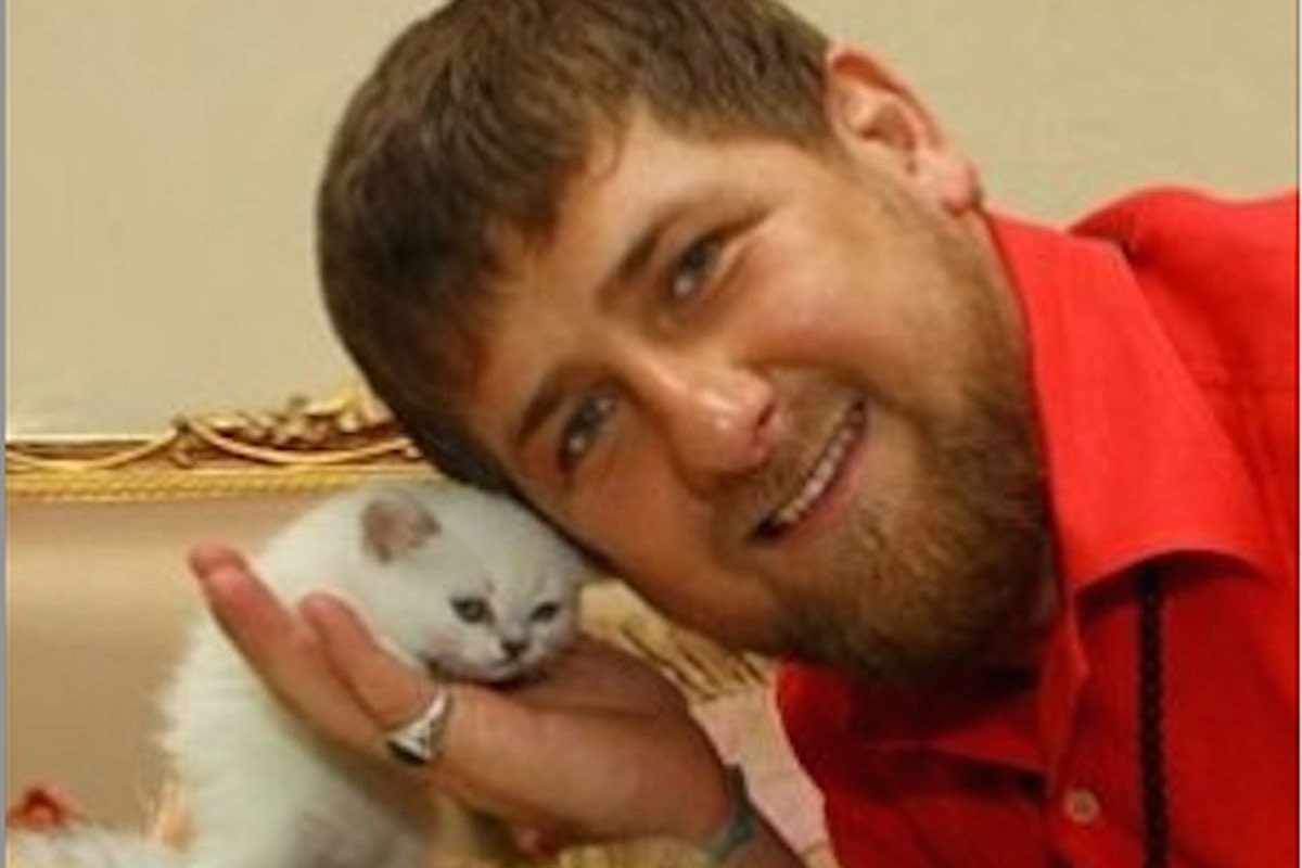 Kadyrow mit Katze
https://twitter.com/realiTedverlust/status/1782477882511491231/photo/4