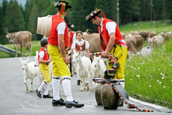 Alpaufzug auf die Schwägalp: Der Bundesrat will sich aus der Regionalpolitik zurückziehen.