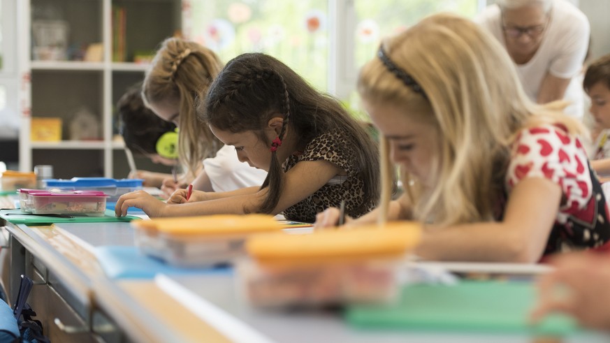 IM HINBLICK AUF DEN SCHULJAHRESBEGINN STELLEN WIR IHNEN FOLGENDES NEUES BILDMATERIAL VON DER PRIMARSCHULE DER SCHULE SUHR ZUR VERFUEGUNG --- Pupils of primary school class 1c pictured during a double  ...