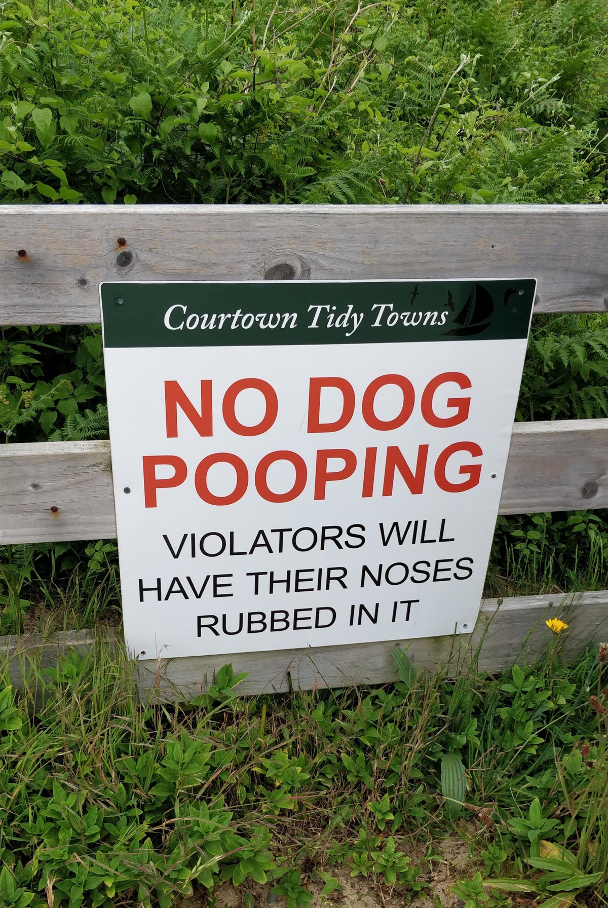 Only in irelandq