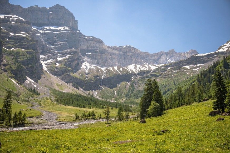 Rauszeit Blumen Vallon de Nant