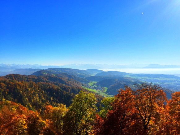 Lieber Herbst, von mir aus kannst du ein halbes Jahr bleiben!
Und der Nachmittag auf dem Üetliberg war ebenfalls genau so, wie ich ihn mag