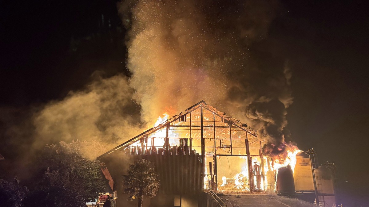 Stall-bei-Tuggen-SZ-in-Vollbrand-Warnung-vor-starkem-Rauch