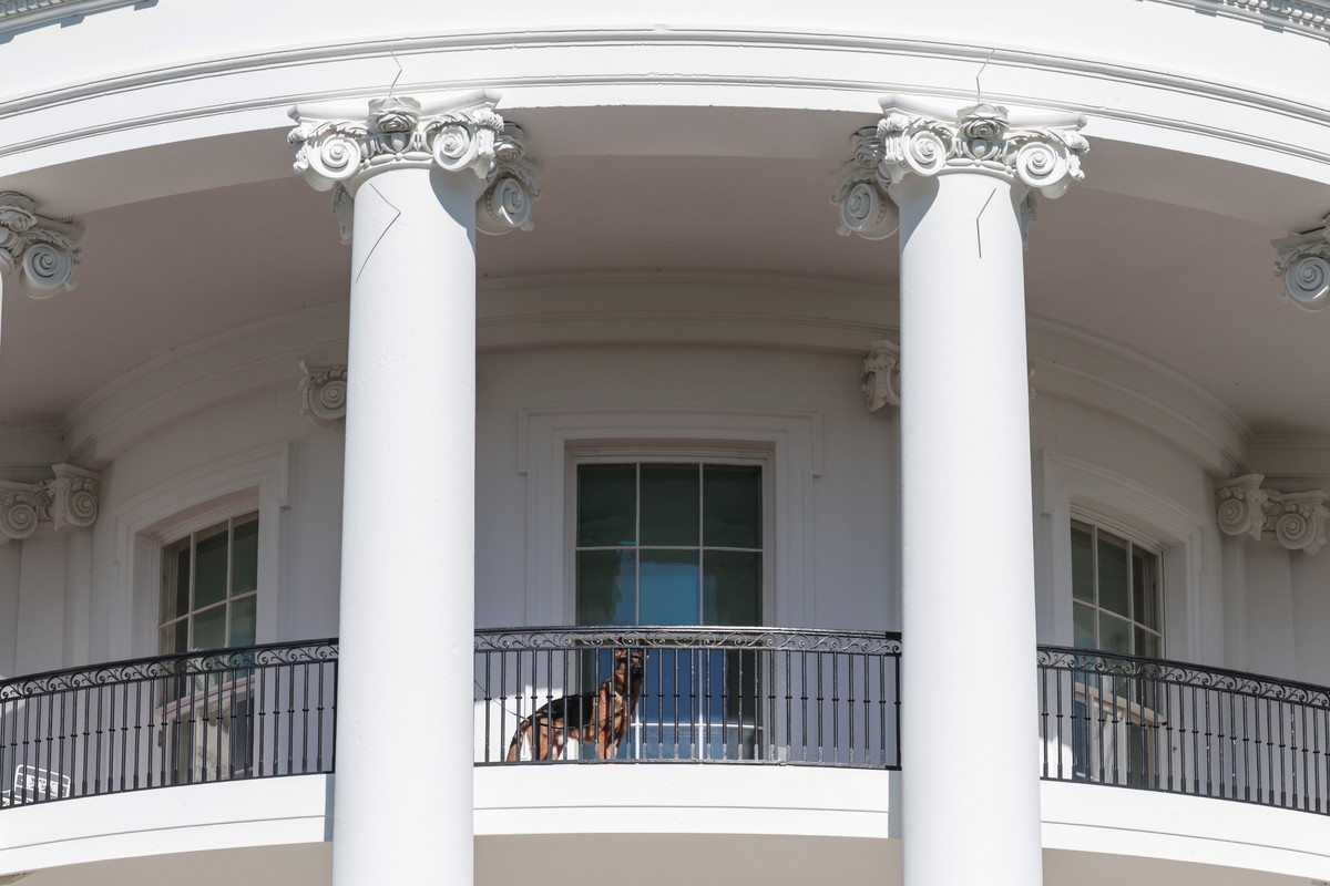 epa10318488 Commander the dog looks on from the balcony as US President Joe Biden speaks at an event where he will pardon The National Thanksgiving Turkeys, on the South Lawn of the White House in Was ...