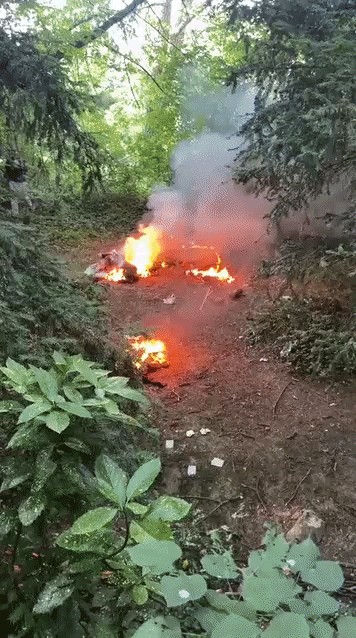 Animiertes GIF