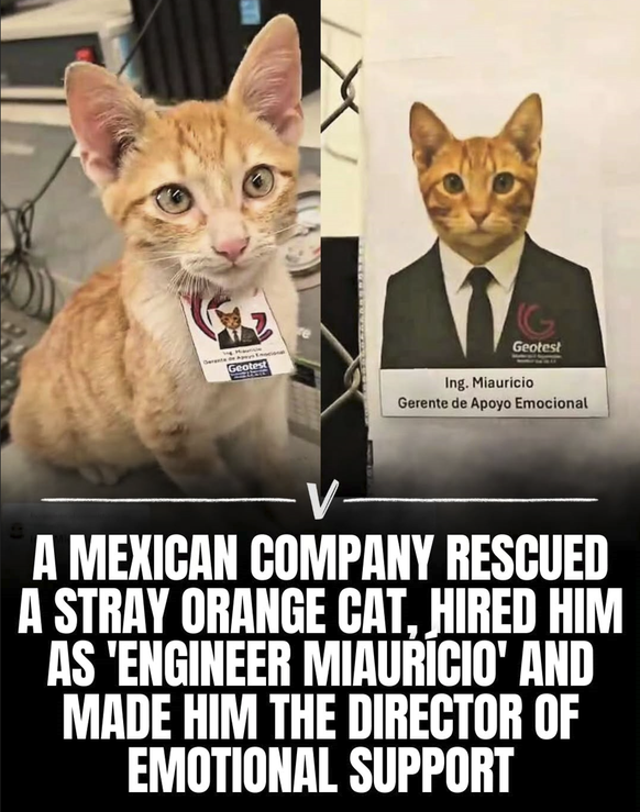 Gute Bilder, die glücklich machen