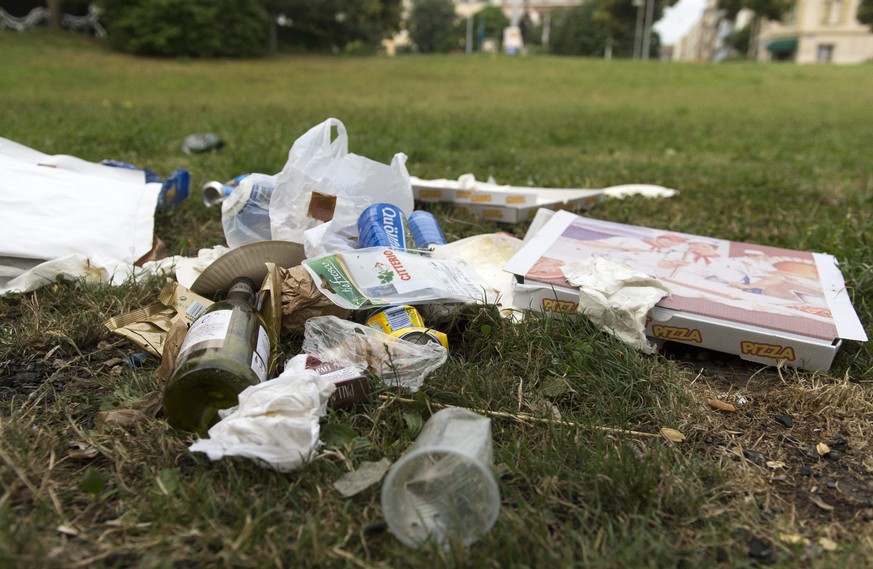 ARCHIV --- ZUR VORGESEHENEN BUSSE WEGEN LITTERING STELLEN WIR IHNEN FOLGENDES BILD ZUR VERFUEGUNG --- Abfall liegt im St. Johanns-Park in Basel am Mittwoch, 17. Juli 2013. (KEYSTONE/Georgios Kefalas)