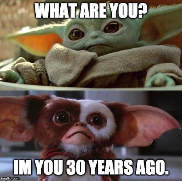 Mit diesen 10 Filmen und Serien will dich Disney Plus Schweiz verführen
Nein! Nein! Nein!!! und nochmals Nein! 

Die können mich nicht mit Gizmo... ähh Baby Yoda locken...