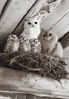 Animiertes GIF