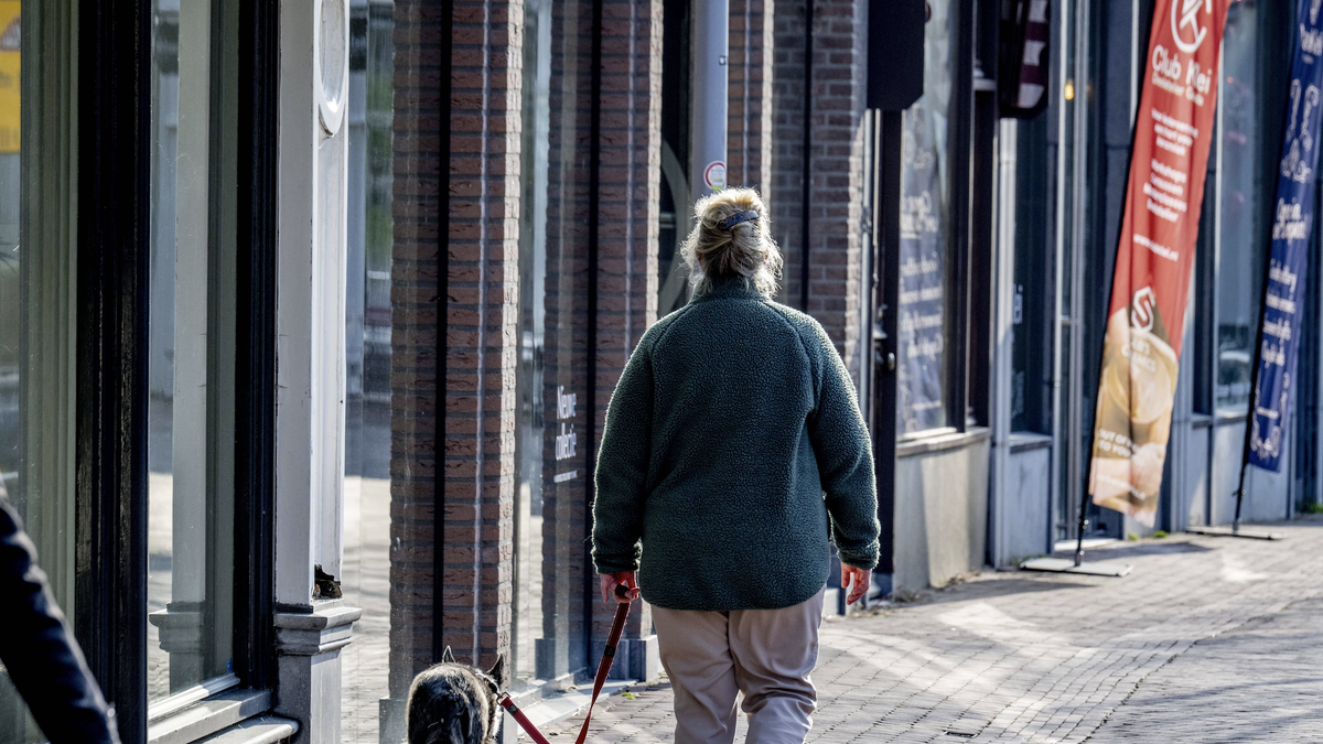 Hund-beisst-mehrmals-zu-und-wird-Halterin-weggenommen-Gericht-gibt-Veterin-ramt-recht