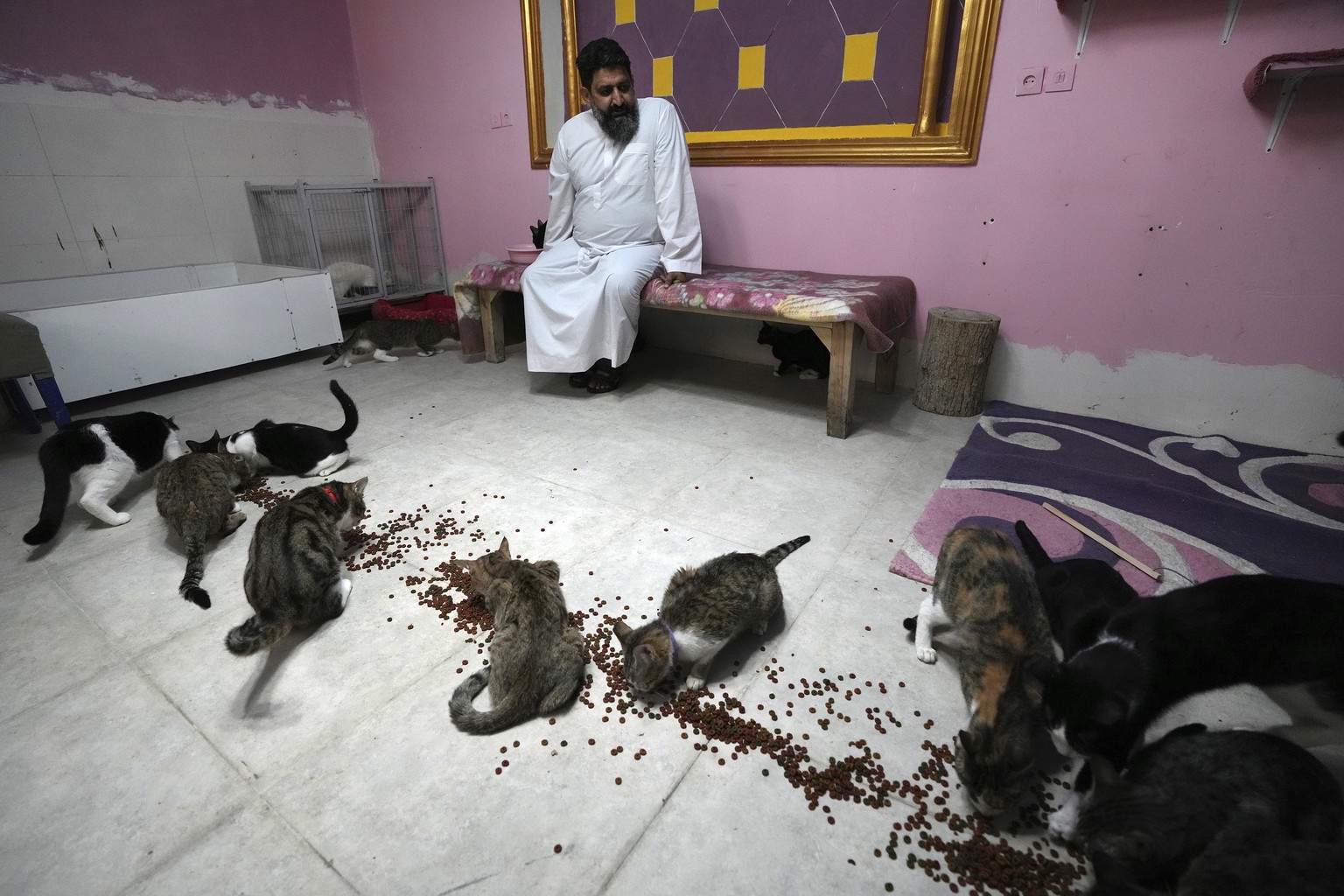 Iranian cleric Sayed Mahdi Tabatabaei sits at his stray cat shelter as cats eat outside the city of Qom, 80 miles (125 kilometers) south of the capital Tehran, Iran, Sunday, May 21, 2023. It&#039;s ra ...