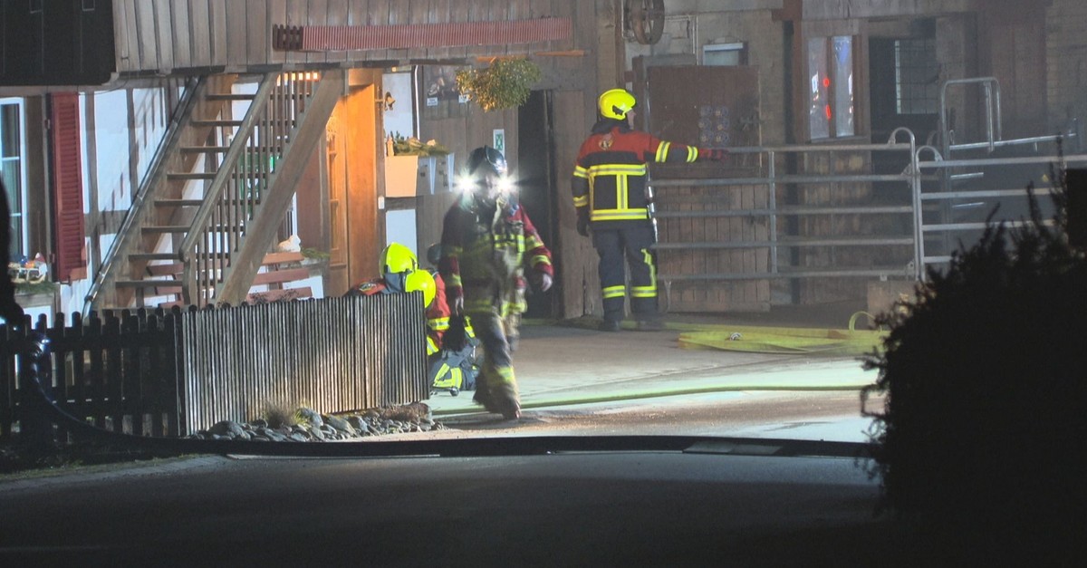 stallbrand-in-detligen-be-ber-20-schweine-tot