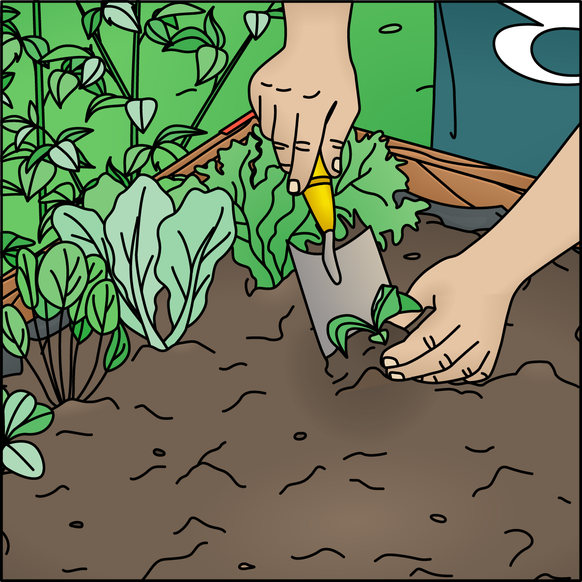 Garten Blog Gärtner Graf Hochbeet