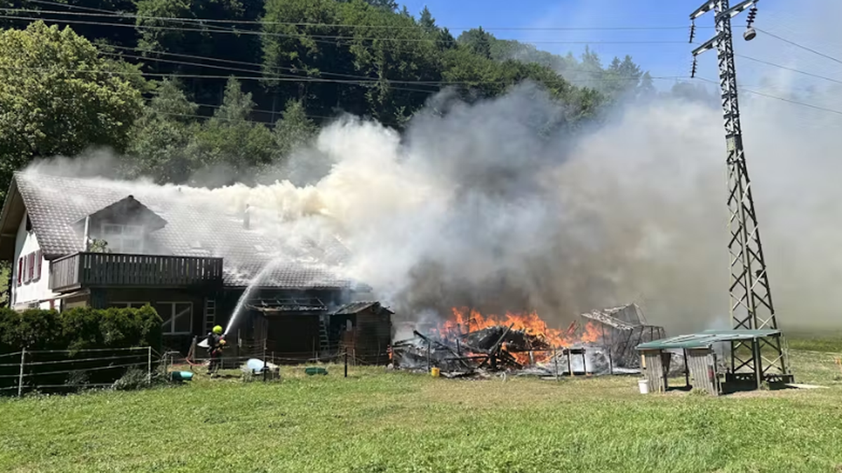 -ber-hundert-Kaninchen-und-V-gel-sterben-bei-Brand-in-Hindelbank-BE