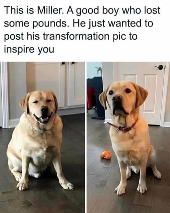 Good News: Made me Smile
