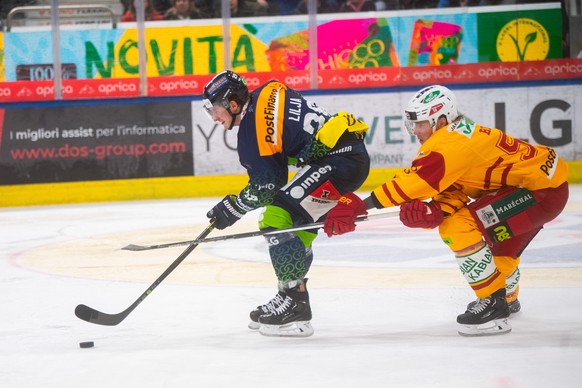 Ambris player Jakob Lilija left, score the 4 - 1 goal, during the preliminary round game of National League A (NLA) Swiss Championship 2023/24 between, HC Ambri Piotta against SCL Tigers at the Gottar ...