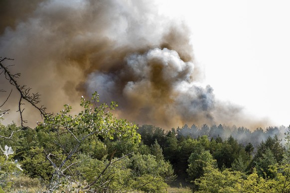 A natural woodland burns near Kiskunhalas, southern Hungary, Thursday, July 21, 2022. The drought and scorching heat induced fire has burnt a 200 hectare area of the mixed forest of deciduous trees and conifers. (Ferenc Donka/MTI via AP)