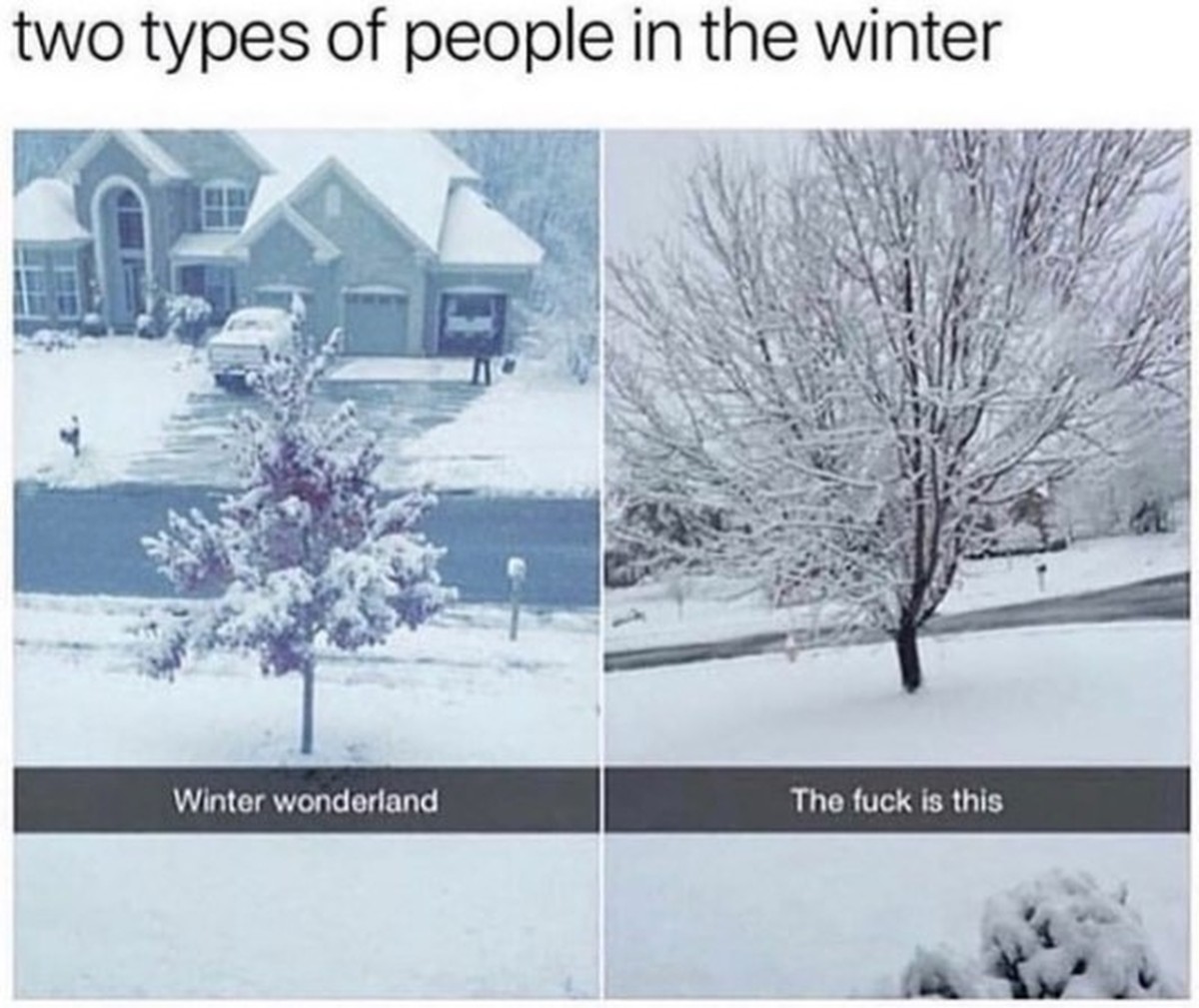 Winter Memes