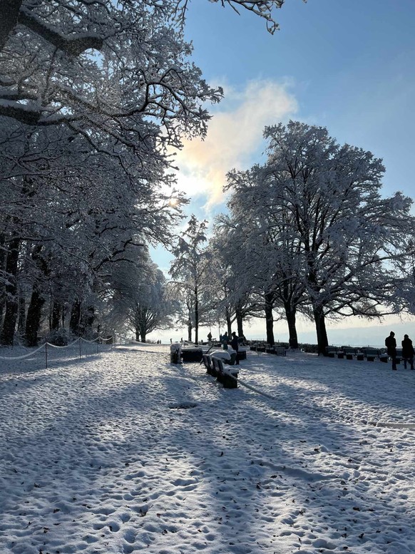 Winterbilder, Martin Thomann, Winterthur