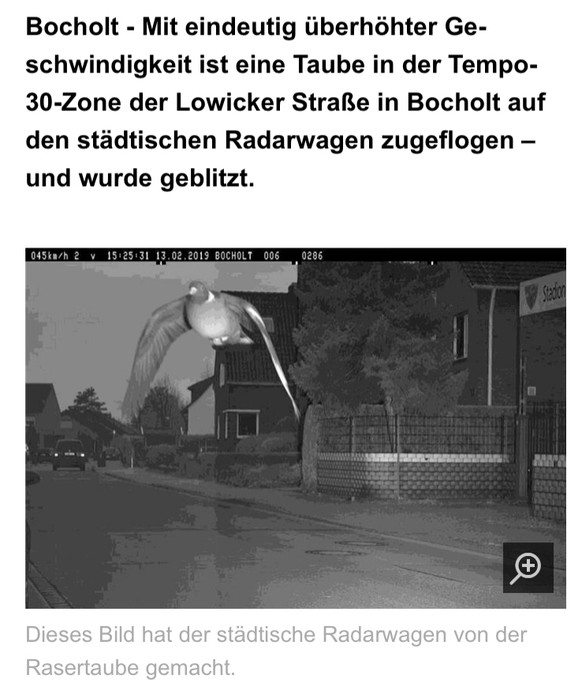 Fönn! Internet! Picdump!
Armando das Schlitzohr, das war nicht sein erstes Mal. Apropos Ohr, haben Tauben Ohren? Oder heissen sie gerade desswegen Tauben?