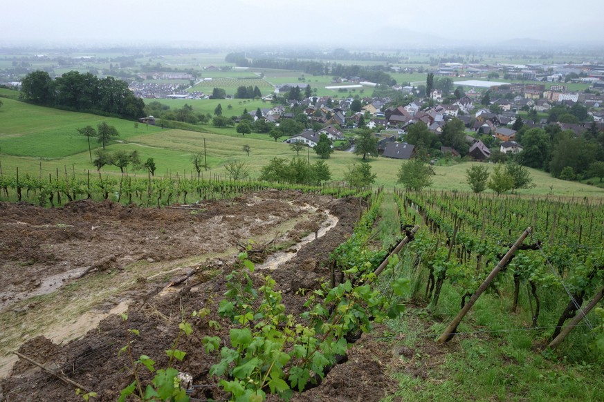 Erdrutsch in einem Rebberg im st.gallischen Lüchingen (04.06.2016).