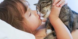 6 Beweise, dass deine Katze ein Teil deiner Familie ist