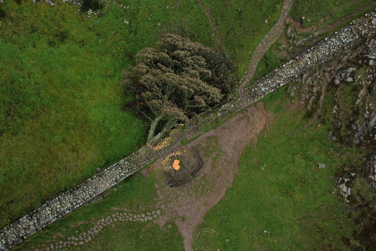 epa12239420 (FILE) - An aerial photograph taken with a drone shows the felled tree at Sycamore Gap in Northumberland, Britain, 05 October 2023 (reissued 15 July 2025). Two men were sentenced on 15 Jul ...