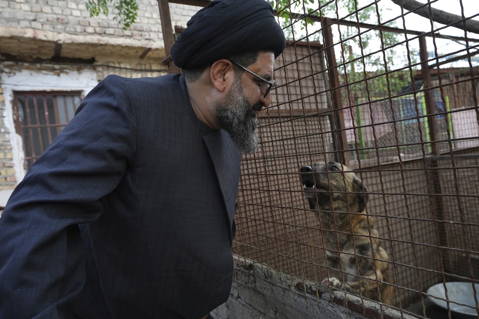 Iranian cleric Sayed Mahdi Tabatabaei looks inside impaired stray dogs cage at his shelter outside the city of Qom, 80 miles (125 kilometers) south of the capital Tehran, Iran, Sunday, May 21, 2023. I ...